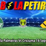 Presdiksi Bola Palmeiras Vs Criciuma 16 September 2024